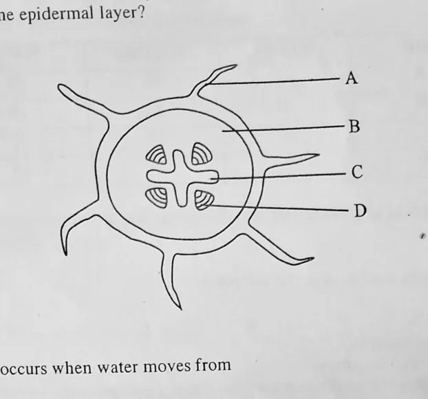 Diagram for Agriculture Paper 1 November 2011 Question 18