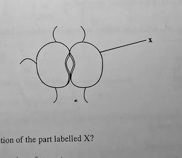 Diagram for Agriculture Paper 1 November 2011 Question 20
