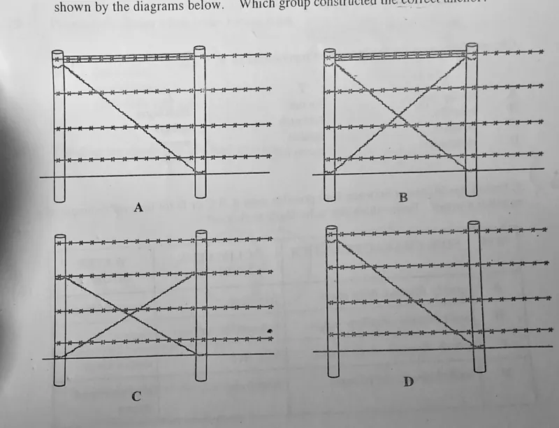 Diagram for Agriculture Paper 1 November 2011 Question 32