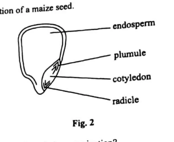 Diagram for Agriculture Paper 1 November 2013 Question 11