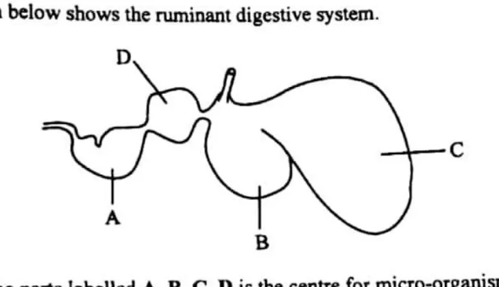 Diagram for Agriculture Paper 1 November 2013 Question 16