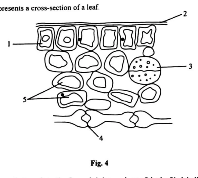 Diagram for Agriculture Paper 1 November 2014 Question 30