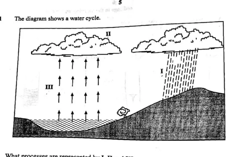 Diagram for Agriculture Paper 1 November 2015 Question 11