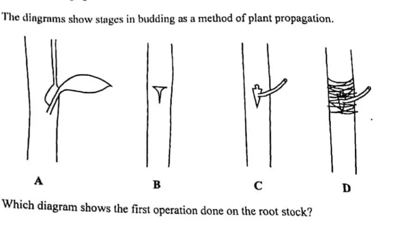 Diagram for Agriculture Paper 1 November 2015 Question 14