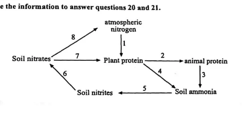 Diagram for Agriculture Paper 1 November 2015 Question 21