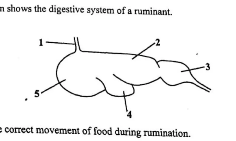 Diagram for Agriculture Paper 1 November 2015 Question 33