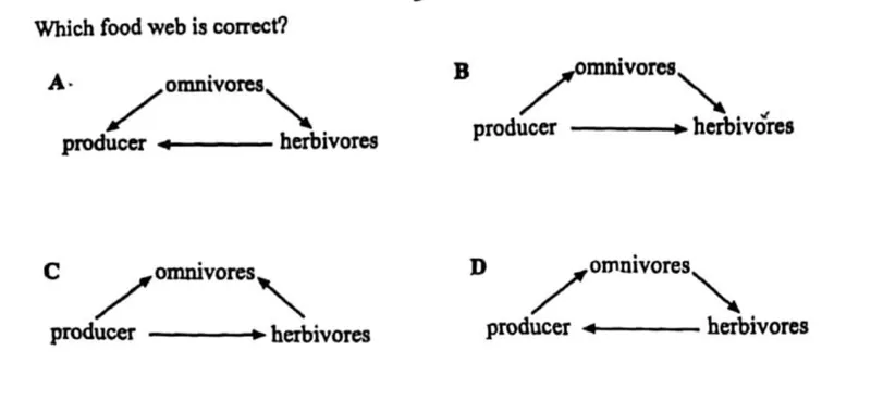 Natural Resources And Conservation - ZIMSEC Agriculture past paper diagram