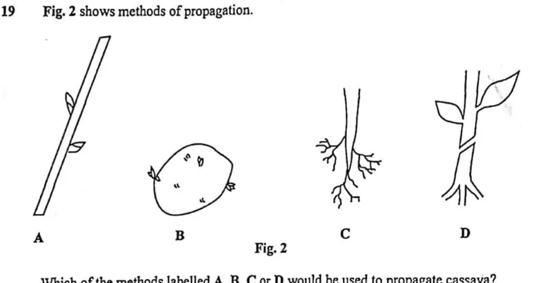 Diagram for Agriculture Paper 1 November 2016 Question 19