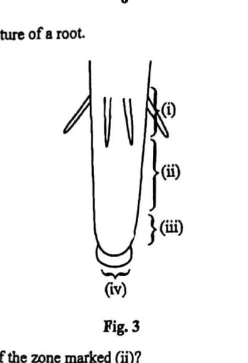 Diagram for Agriculture Paper 1 November 2016 Question 22