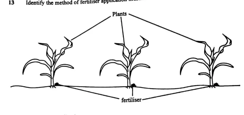 Diagram for Agriculture Paper 1 November 2018 Question 13