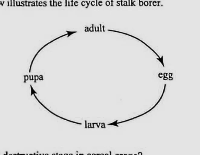 Diagram for Agriculture Paper 1 November 2018 Question 25