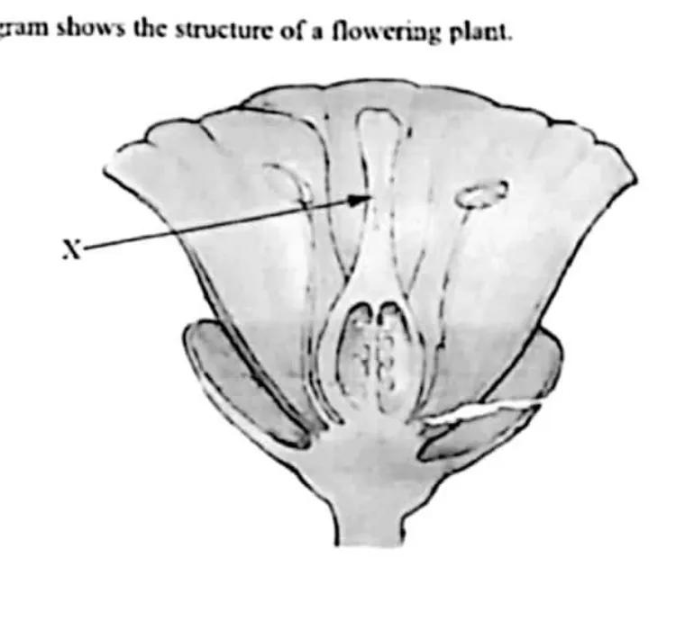 Diagram for Agriculture Paper 1 November 2021 Question 15