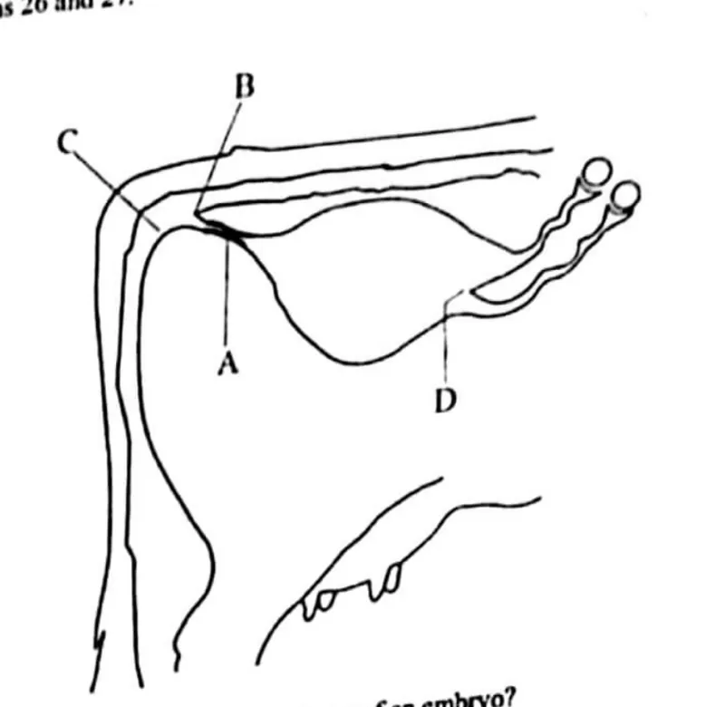 Diagram for Agriculture Paper 1 November 2021 Question 26