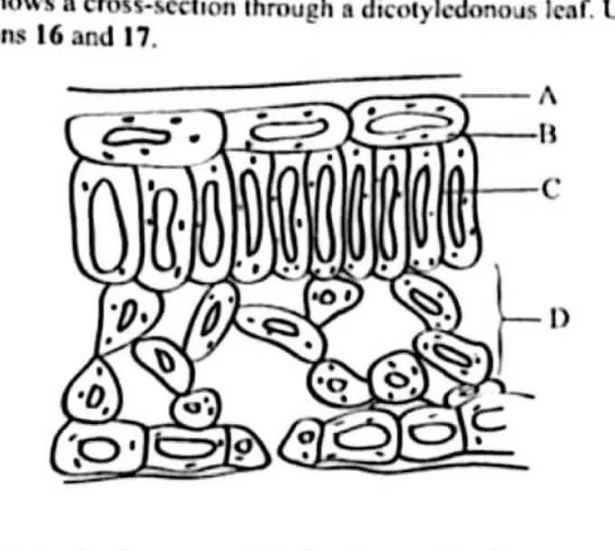 Diagram for Agriculture Paper 1 November 2022 Question 16