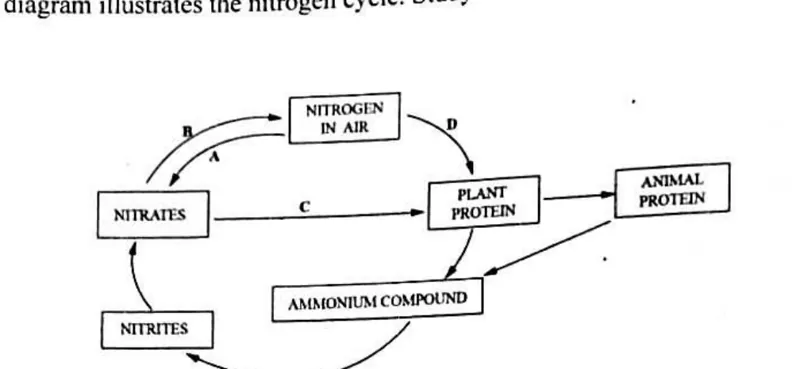 Diagram for Agriculture Paper 1 November 2024 Question 12