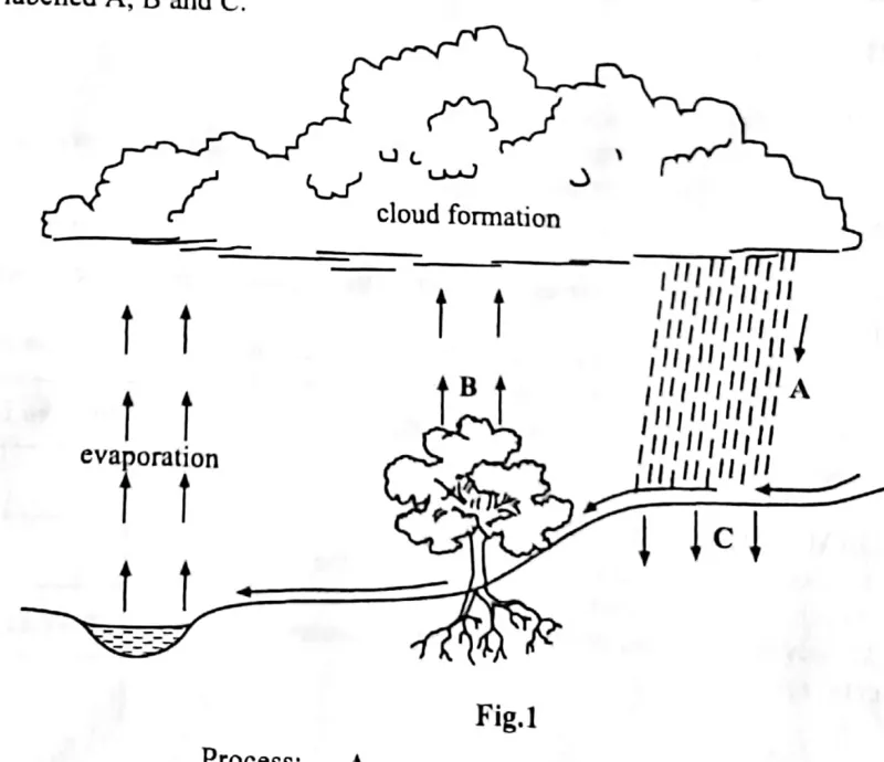 Diagram for Agriculture Paper 2 November 2014 Question 103