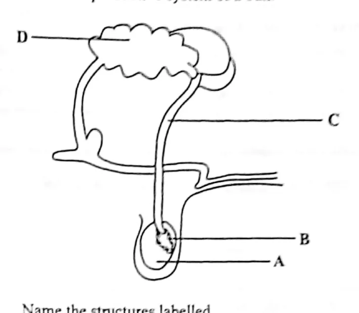 Diagram for Agriculture Paper 2 November 2015 Question 401