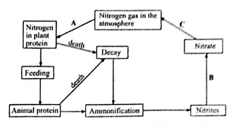 Diagram for Agriculture Paper 2 November 2017 Question 201