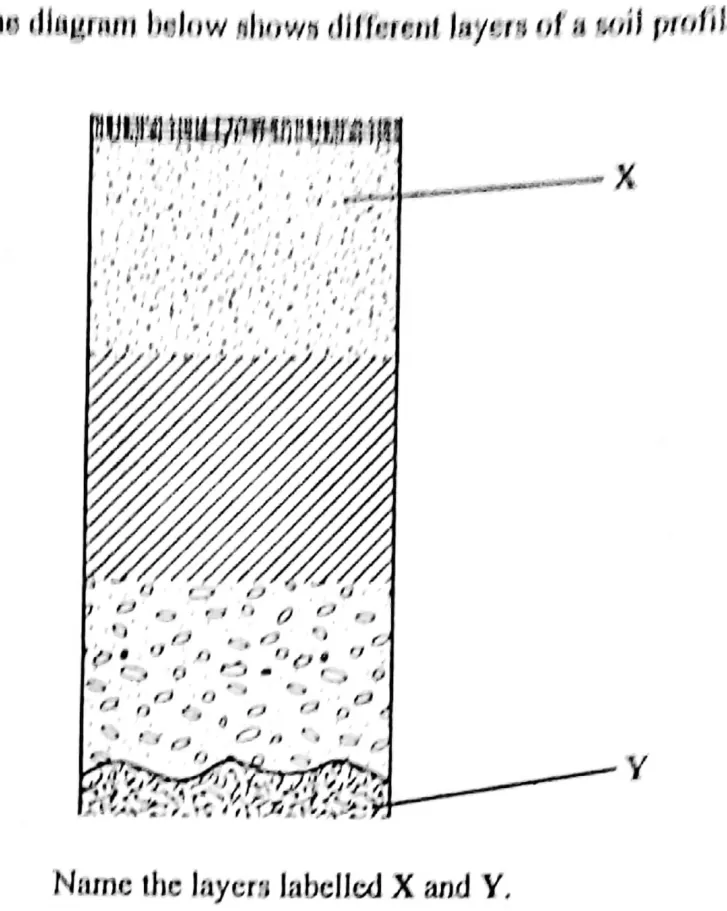 Diagram for Agriculture Paper 2 November 2018 Question 201
