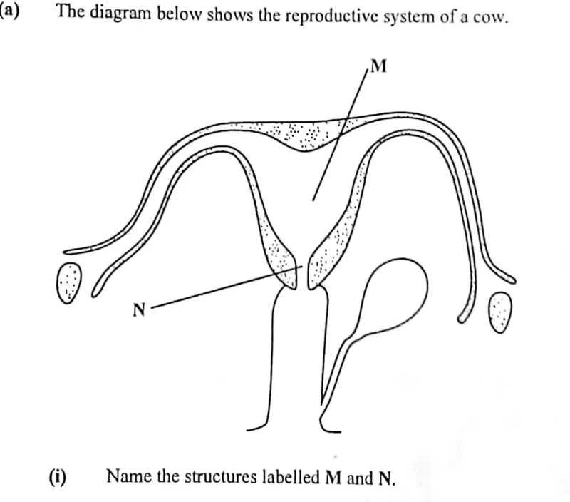 Diagram for Agriculture Paper 2 November 2018 Question 401