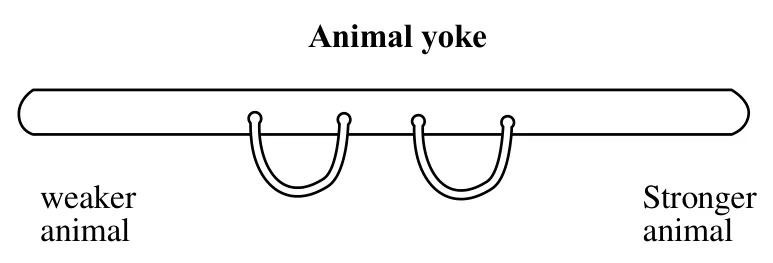 Diagram for Agriculture Paper 2 Specimen 2026 Question 505