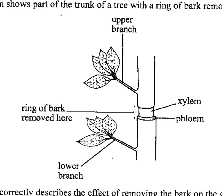 Diagram for Biology Paper 1 June 2017 Question 15