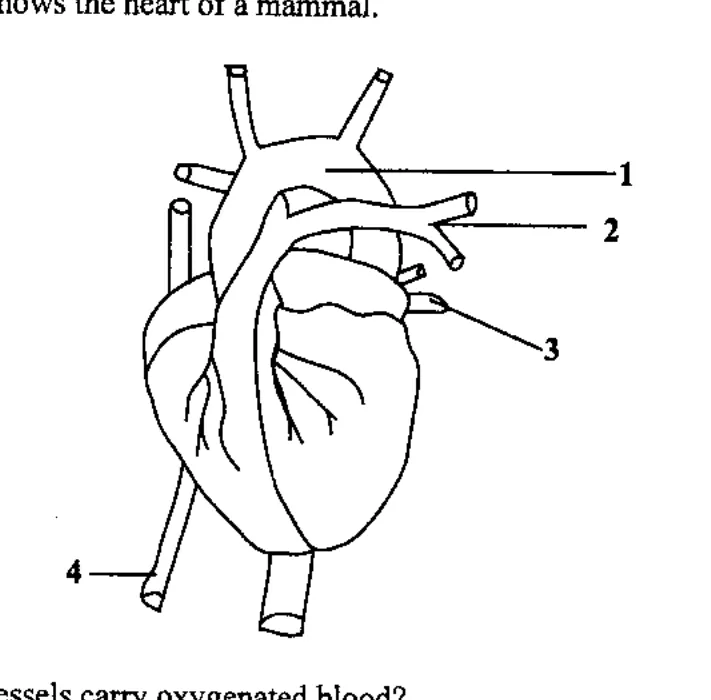 Diagram for Biology Paper 1 June 2017 Question 18