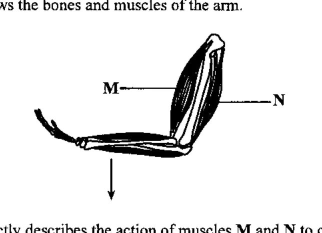 Diagram for Biology Paper 1 June 2017 Question 21