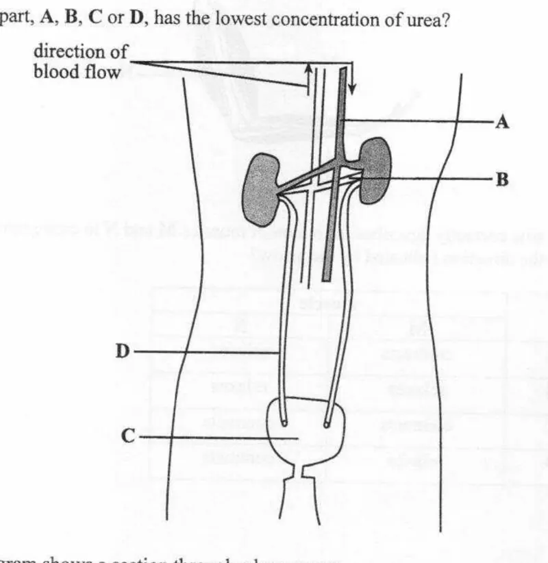 Diagram for Biology Paper 1 June 2017 Question 22