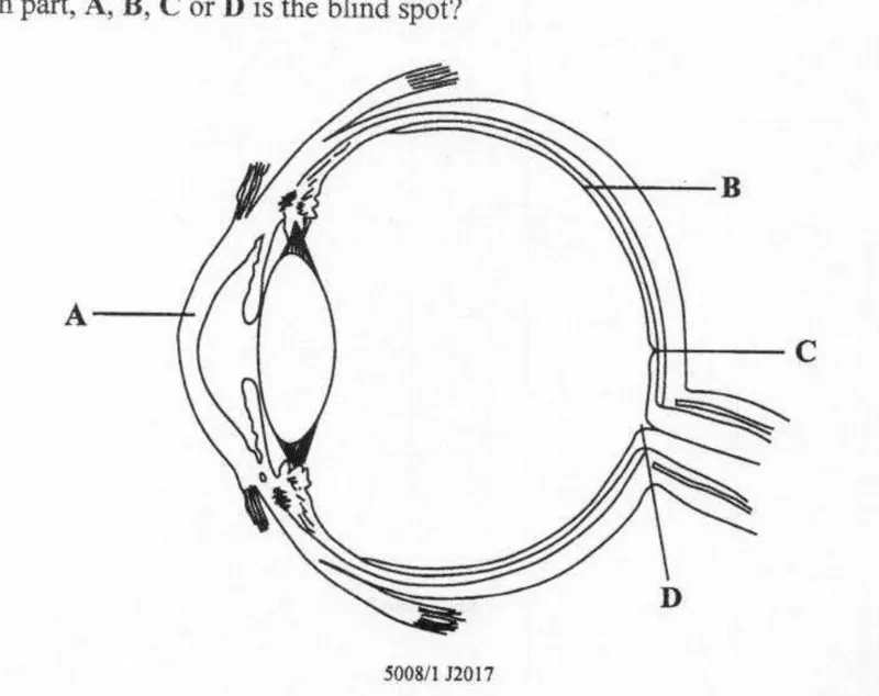Diagram for Biology Paper 1 June 2017 Question 23