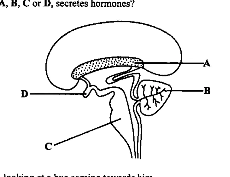 Diagram for Biology Paper 1 June 2017 Question 24