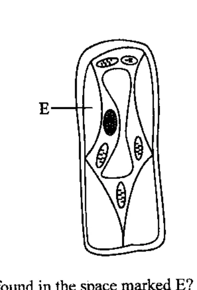 Diagram for Biology Paper 1 June 2017 Question 3