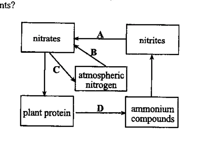 Diagram for Biology Paper 1 June 2017 Question 40