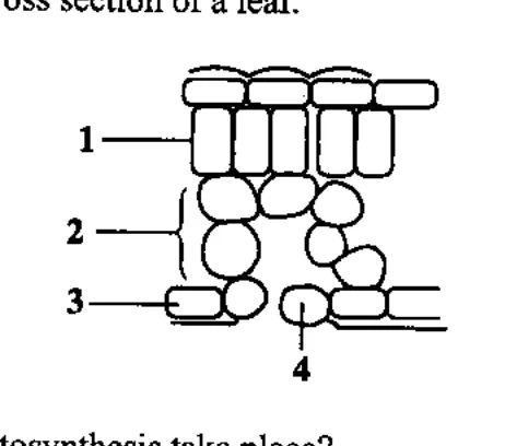 Diagram for Biology Paper 1 June 2017 Question 6