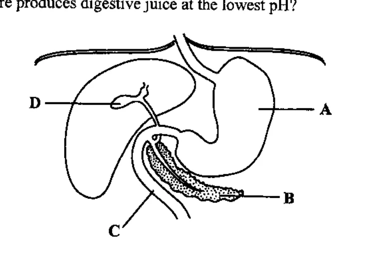 Diagram for Biology Paper 1 June 2017 Question 7