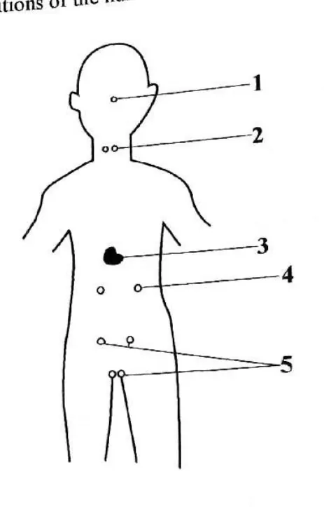 Diagram for Biology Paper 1 June 2019 Question 23