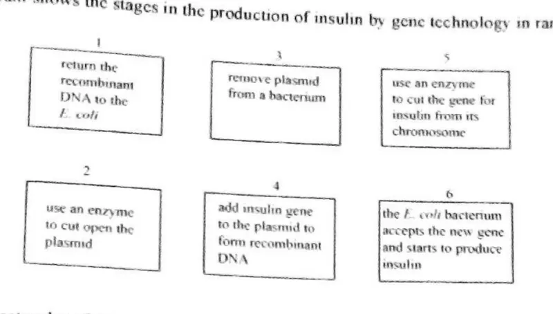Diagram for Biology Paper 1 June 2019 Question 27