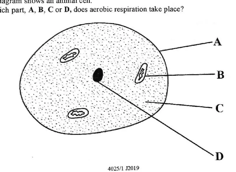 Diagram for Biology Paper 1 June 2019 Question 7