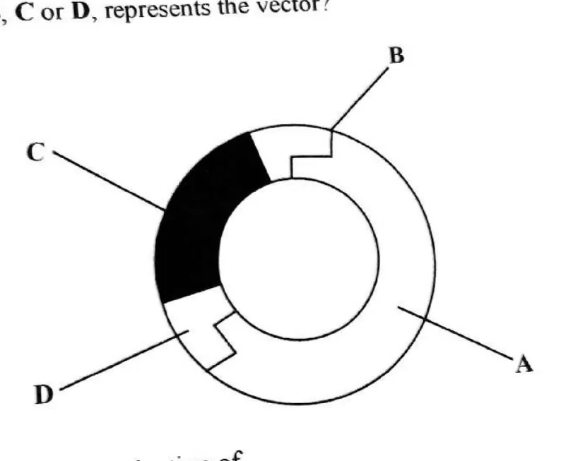 Diagram for Biology Paper 1 November 2019 Question 25