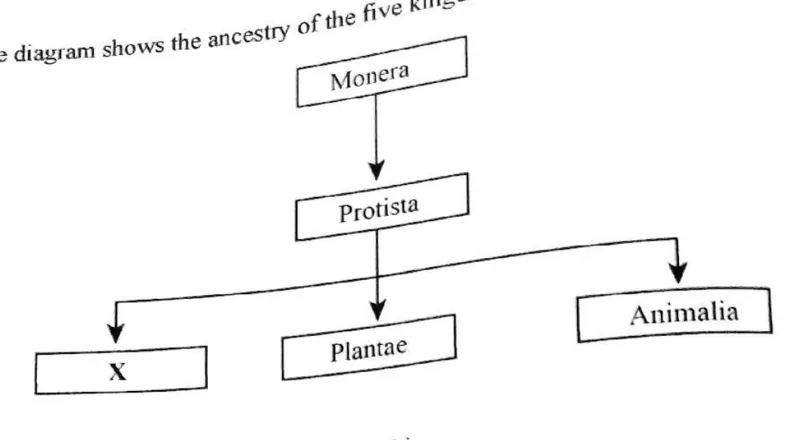 Diagram for Biology Paper 1 November 2019 Question 35