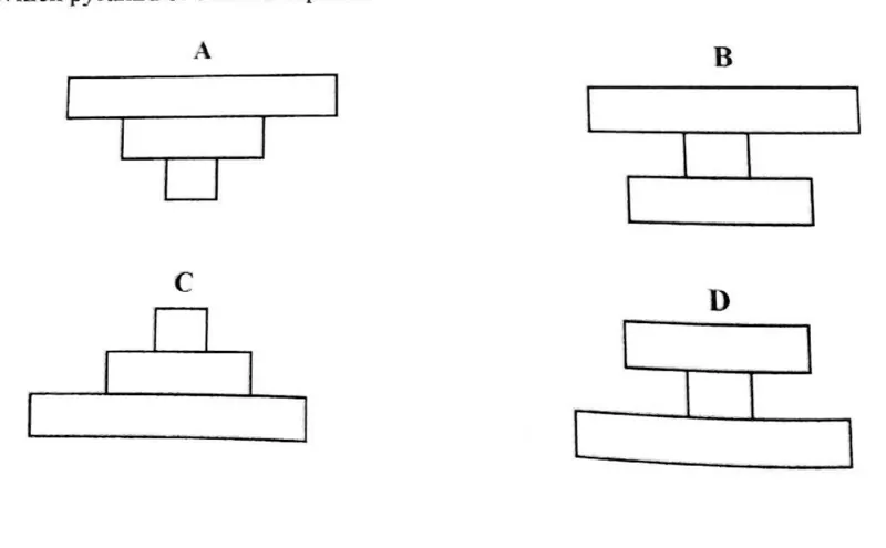 Diagram for Biology Paper 1 November 2019 Question 36