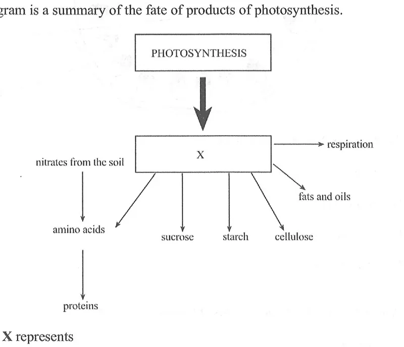 Diagram for Biology Paper 1 June 2020 Question 11