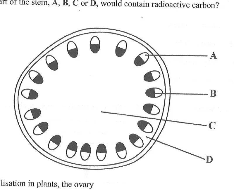 Diagram for Biology Paper 1 June 2020 Question 12