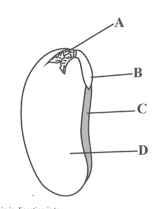 Diagram for Biology Paper 1 June 2020 Question 16