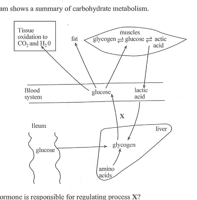 Diagram for Biology Paper 1 June 2020 Question 18