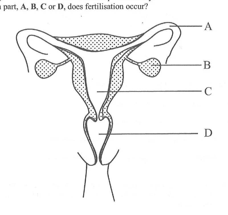Diagram for Biology Paper 1 June 2020 Question 19