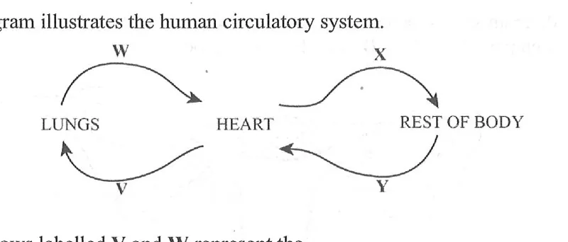 Diagram for Biology Paper 1 June 2020 Question 21