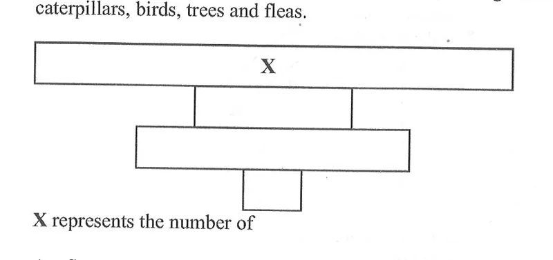 Diagram for Biology Paper 1 June 2020 Question 35