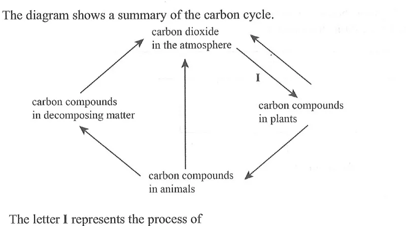 Diagram for Biology Paper 1 June 2020 Question 37
