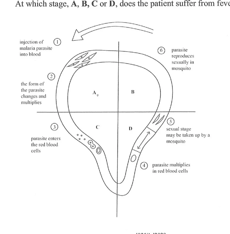 Diagram for Biology Paper 1 June 2020 Question 38